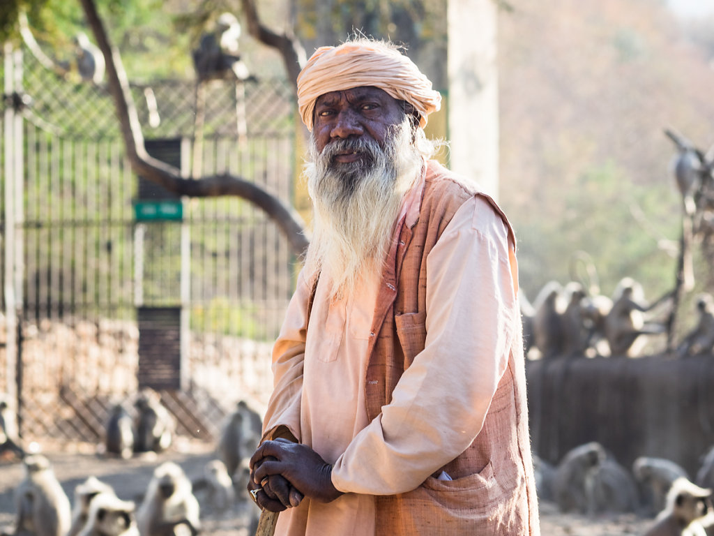 Old man and the apes, Pushkar - Rajasthan